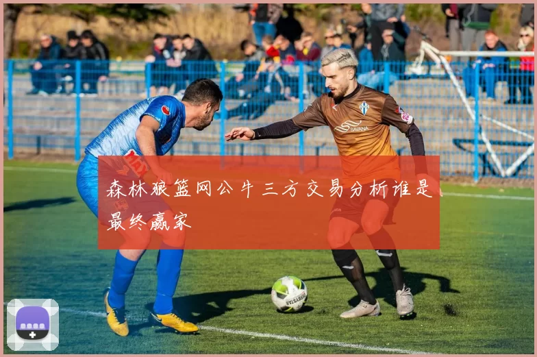 森林狼篮网公牛三方交易分析谁是最终赢家