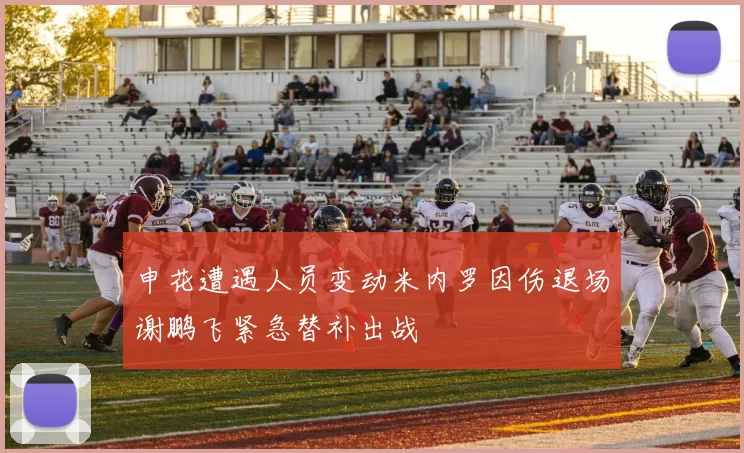 申花遭遇人员变动米内罗因伤退场谢鹏飞紧急替补出战