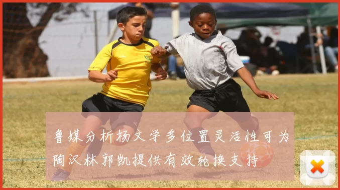 鲁媒分析杨文学多位置灵活性可为陶汉林郭凯提供有效轮换支持